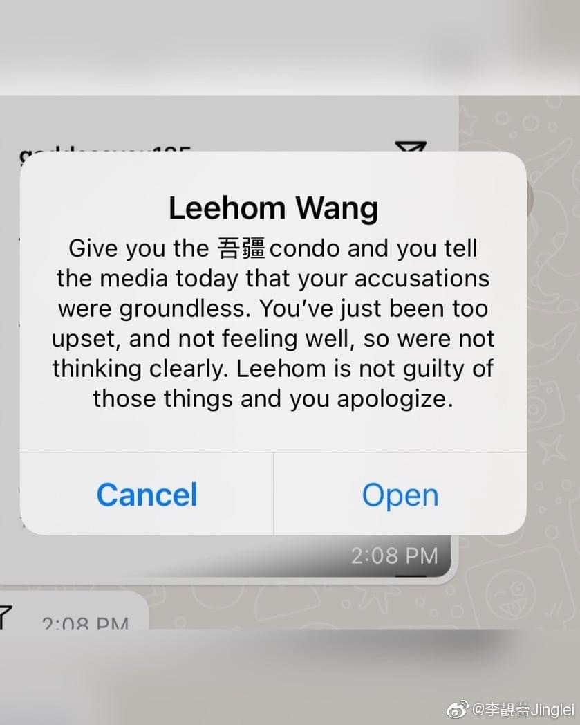 李靚蕾po出王力宏試圖用錢收買的訊息截圖。 圖：翻攝自@jl.leilei IG