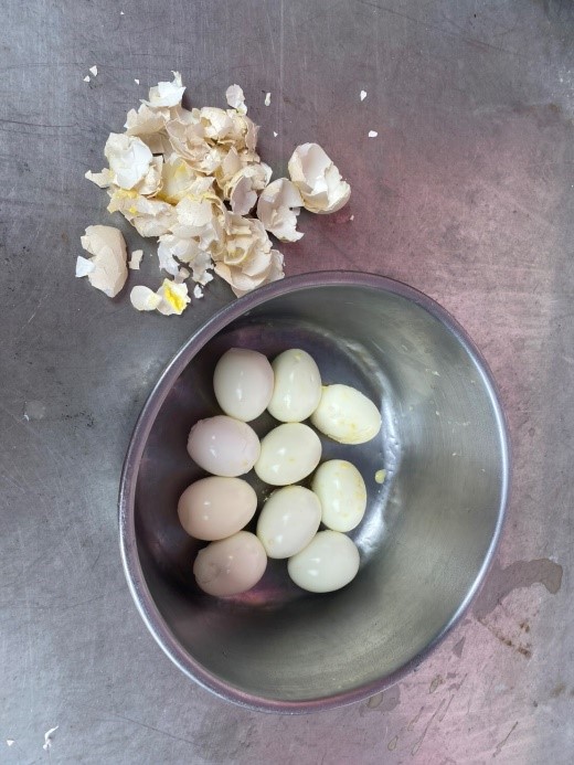動保員陳巧凌製作蛋料理。 圖：新北市動保處提供