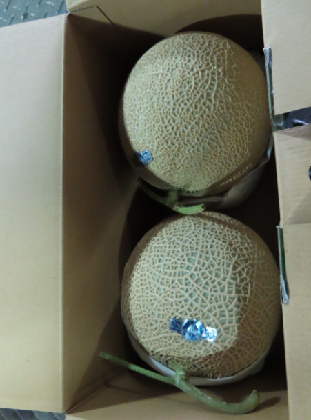 靜岡哈密瓜驗出農藥殘留量超標。 圖：食品藥物管理署／提供