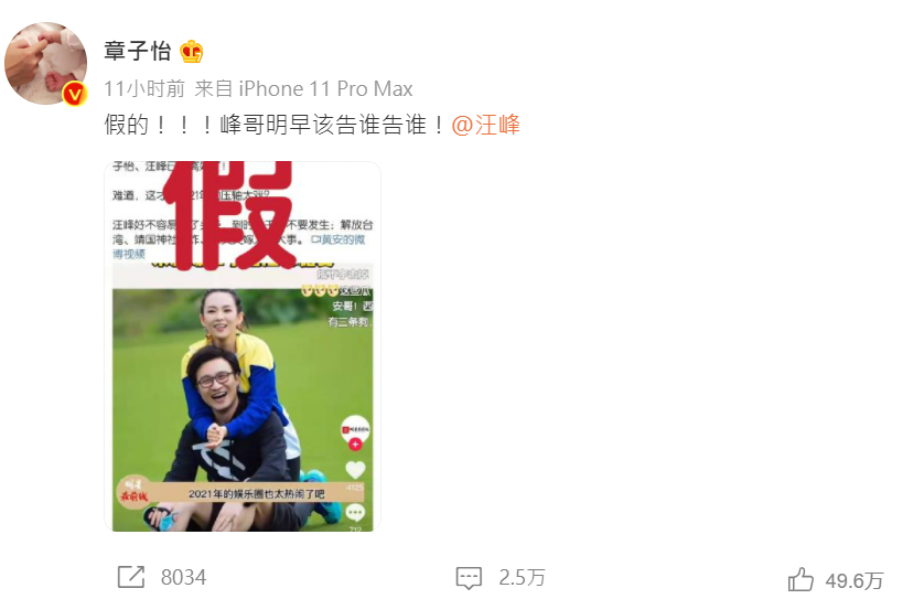 章子怡否認黃安爆料怒喊告。 圖：翻攝微博