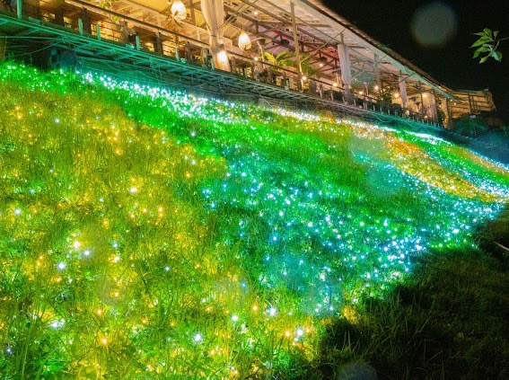 星光草皮也好拍！！ 圖：新北市觀旅局提供