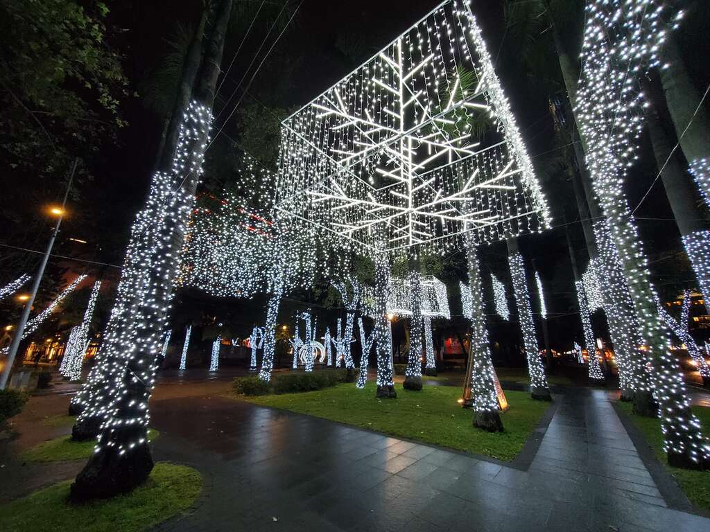 台北市政府前的銀白聖誕森林。 圖：台北市商業處／提供