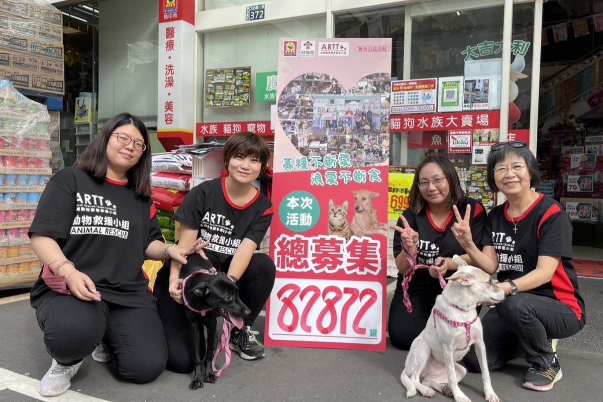 ▲全台愛心大串連，募9萬罐頭幫浪貓、浪犬過聖誕，高度直逼十棟101。