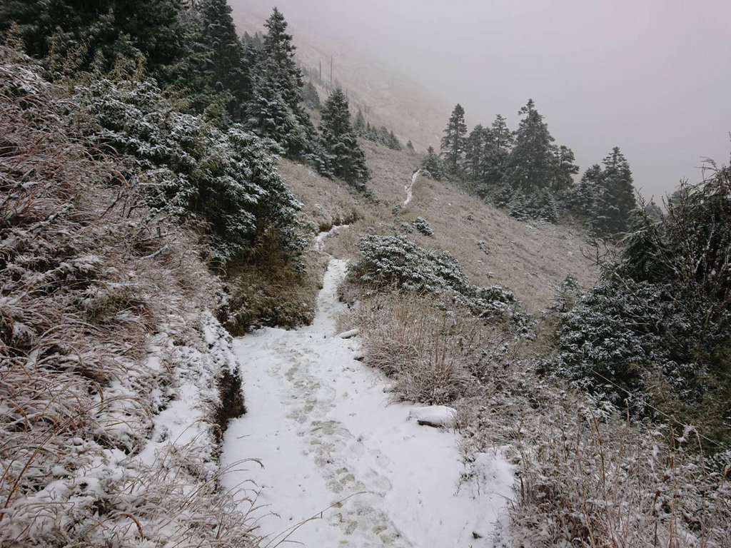 受到冷氣團影響，雪霸國家公園高山地區降雪明顯。 圖：雪霸國家公園管理處／提供