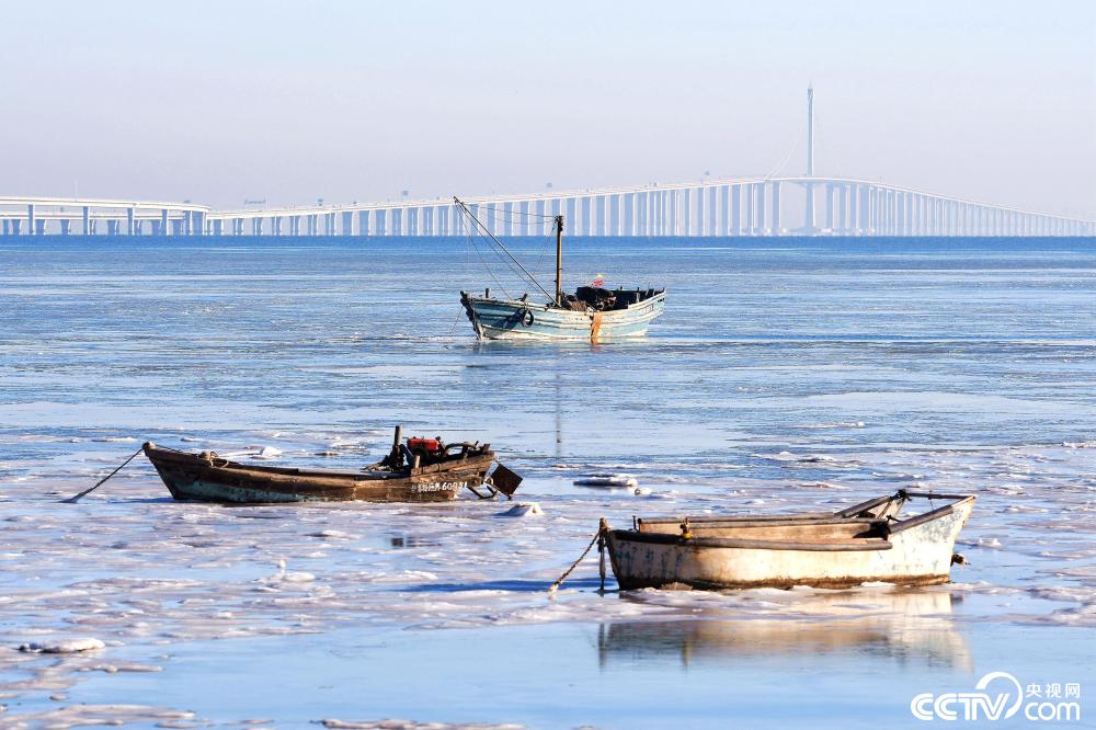 強烈寒流襲擊，山東青島膠州灣北岸跨海大橋海域海面出現大面積海冰。 圖：翻攝CCTV央視網