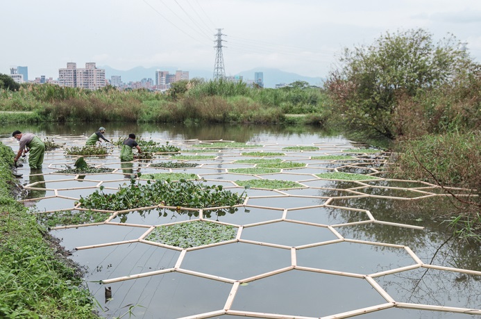 新北濕地水禮服創作中。 圖：新北市水利局提供