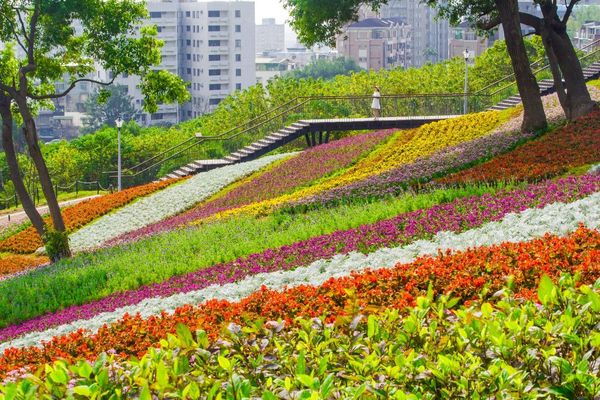 北投三層崎花海花毯。 圖：台北市工務局／提供