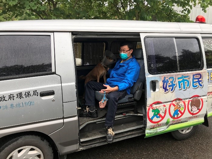 手術隔天candy見到隊員們來接牠非常開心。 圖：新北市動保處提供