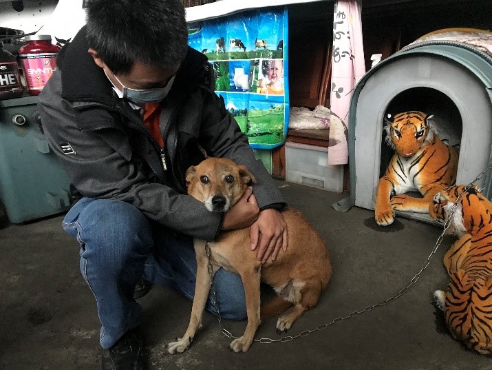 術後10天眼瞼手術傷口完全癒合。 圖：新北市動保處提供
