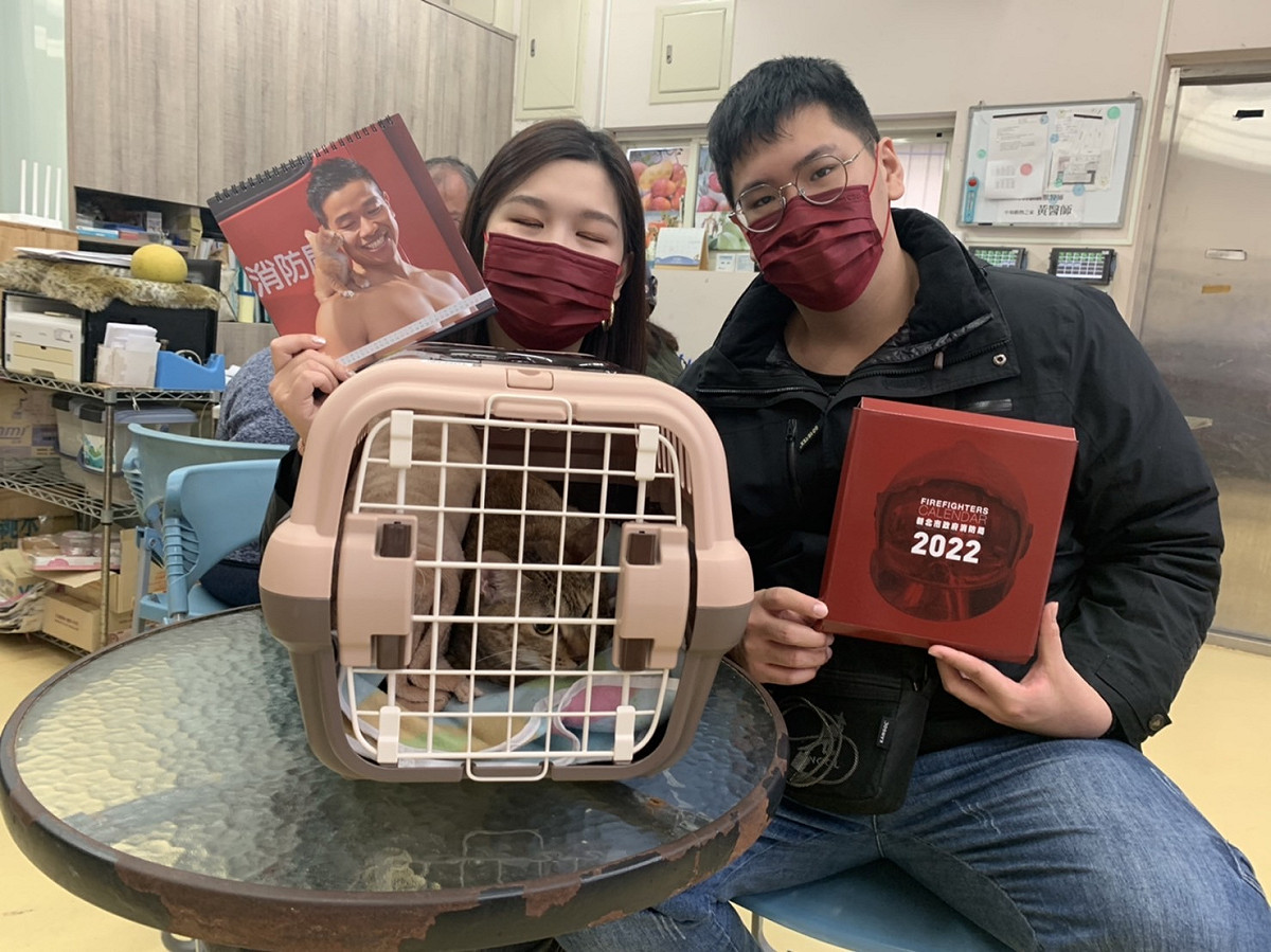 認養人當時決定要認養另一隻貓陪伴家中的貓，一打開臉書就看到「荳荳」，接觸後認為這就是緣分而決定認養牠。 圖：新北市動保處提供