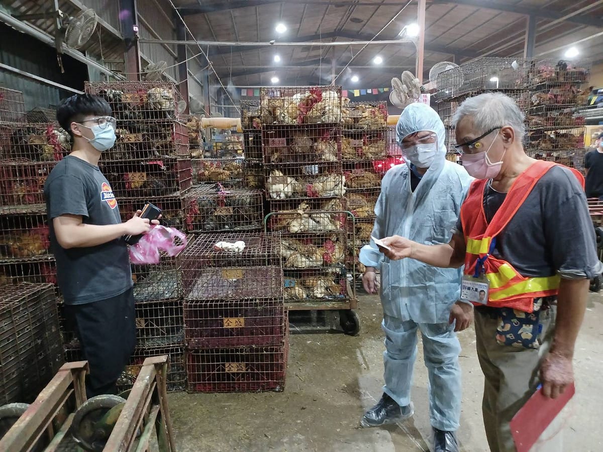 新北市動保處夜間輪值督導新北禽屠宰場防疫作為。  圖：新北市動保處提供