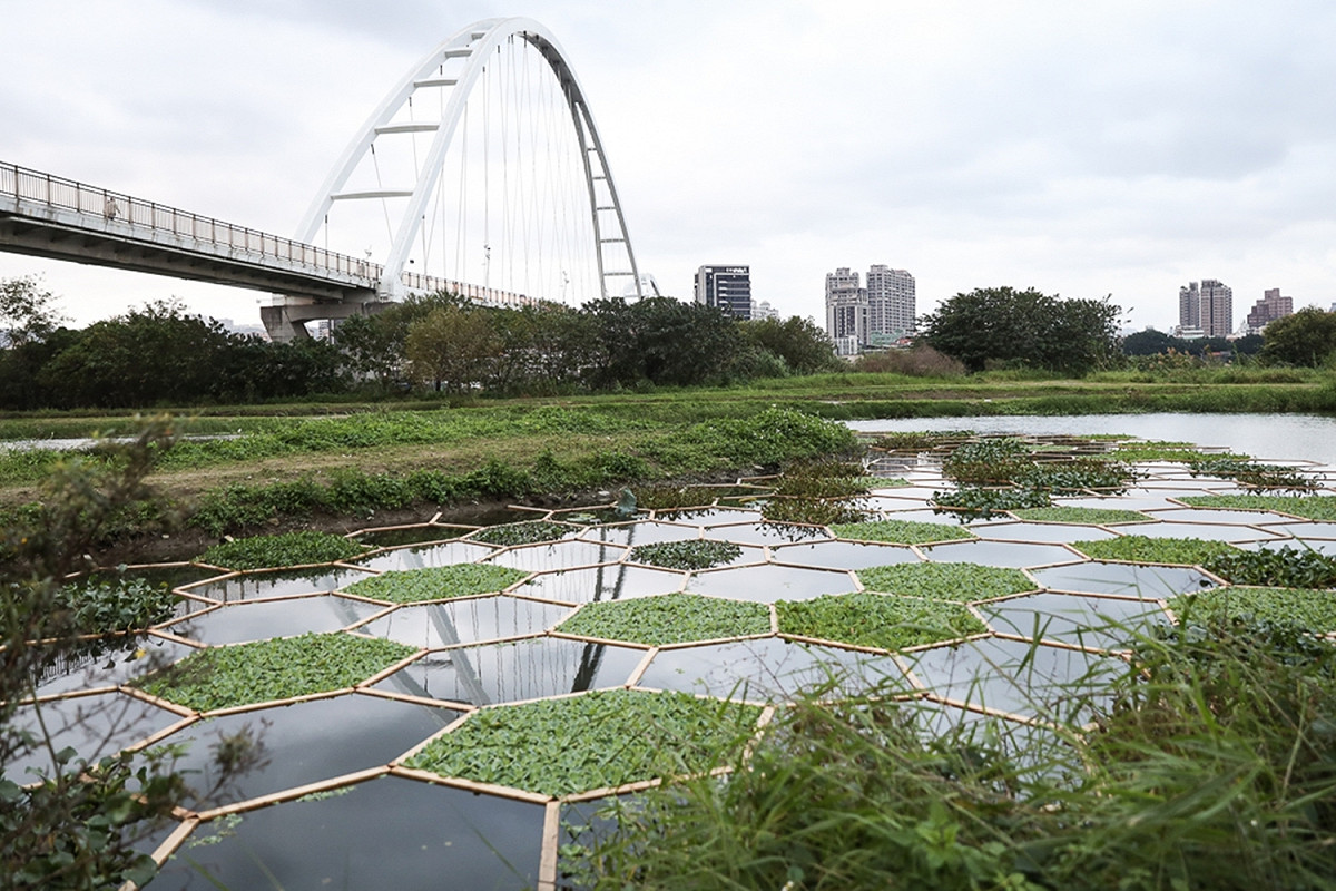 李蕢至作品「新北濕地水禮服」。 圖：新北市水利局提供