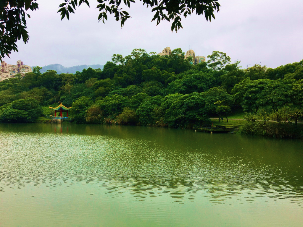 南港公園的湖畔。 圖：台北市政府公園路燈工程管理處／提供