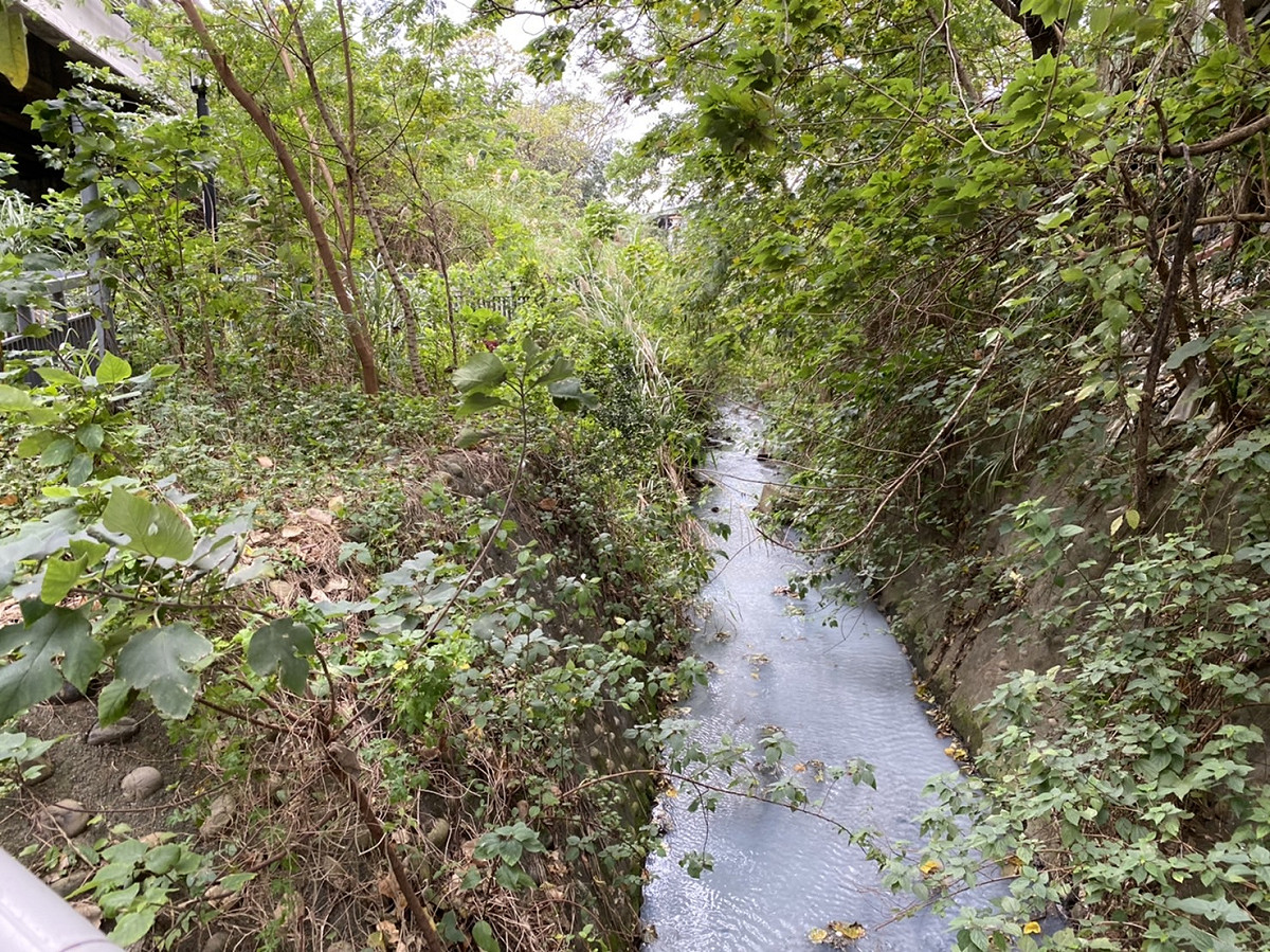 樹林區佳園路3段上某染整廠內管線破裂，造成廢水流出廠外。