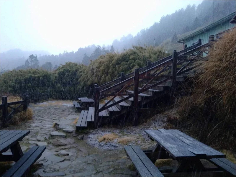 雪霸國家公園369山莊、桃山地區清晨出現降雪。 圖：布農卡里布灣協作／提供