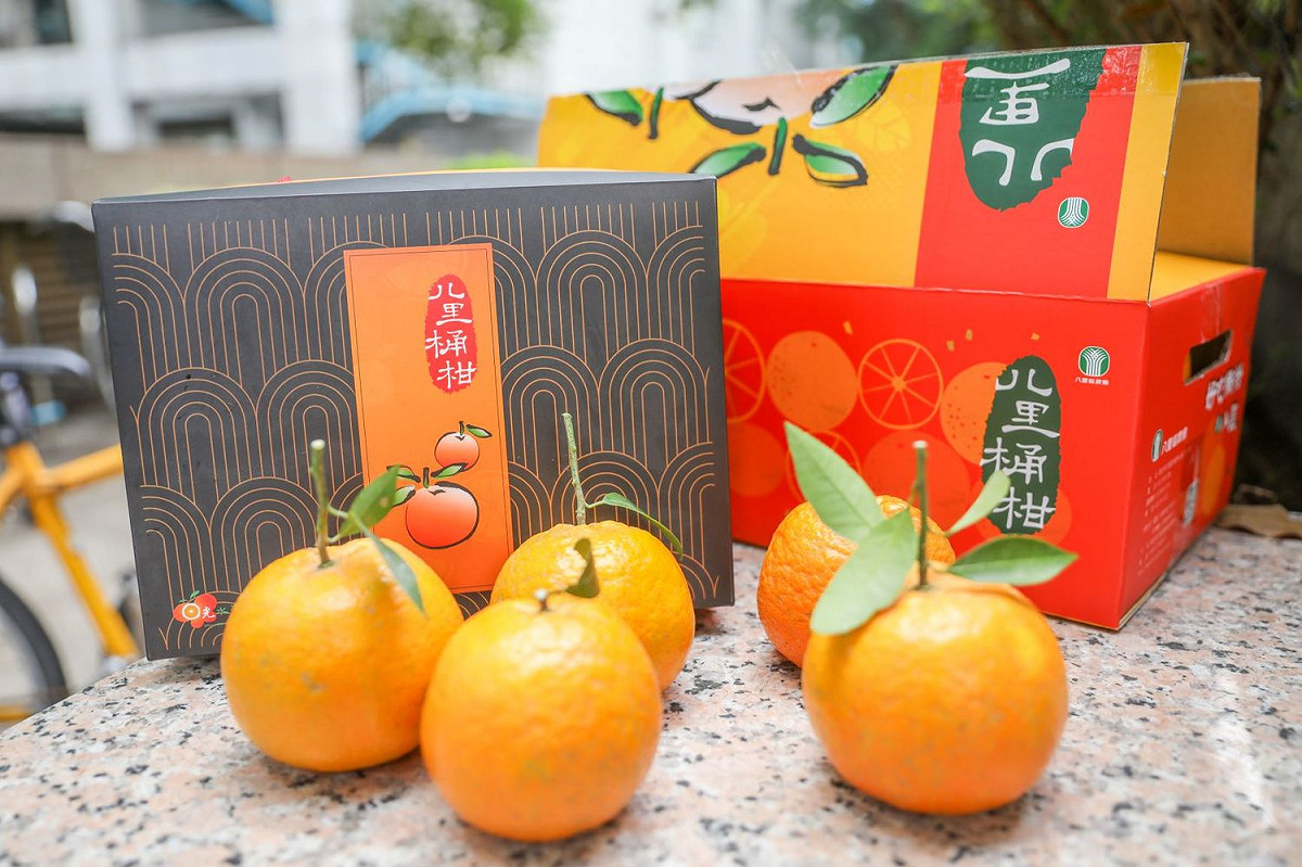 八里區農會桶柑禮盒。 圖：新北市農業局提供