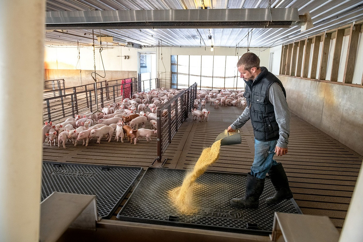 美國豬肉與豬肉產品目前已經獲得印度應允，將可以進入印度市場。 圖：翻攝自美國www.pork.org