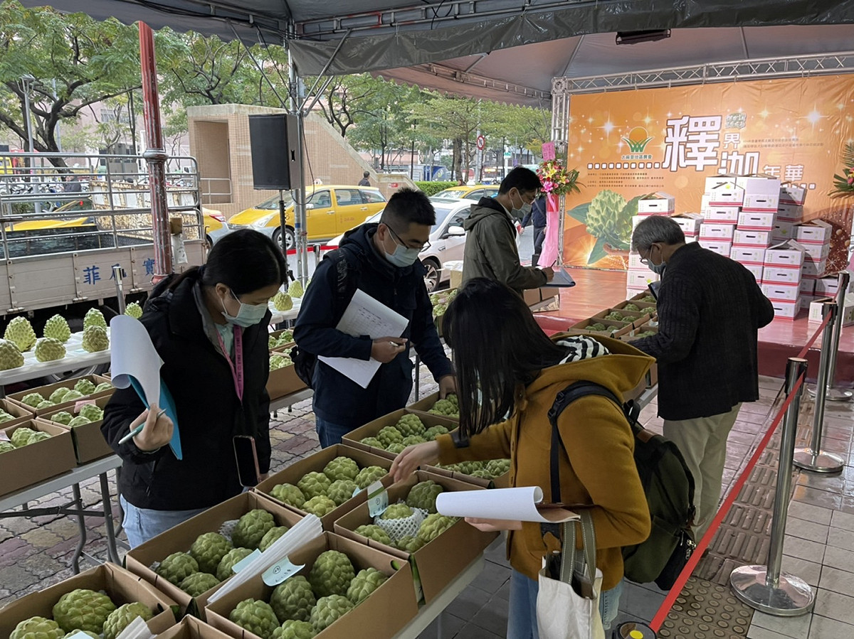 台東農改場專家針對釋迦進行果品評鑑比賽。 圖：新北市農業局提供