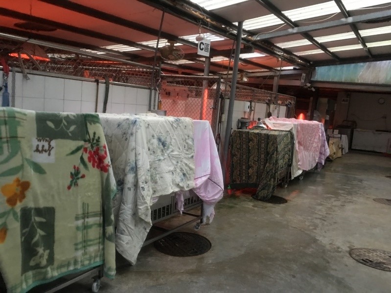 動保處持續監控氣溫變化，若氣溫低於15度立即啟動防寒措施，使用電暖爐、保溫燈及放置防寒布料。 圖：新北市動保處提供