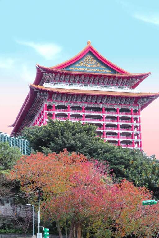 北市中山北路四段圓山大飯店前的紅葉植物是烏桕。 圖：取自台北旅遊網
