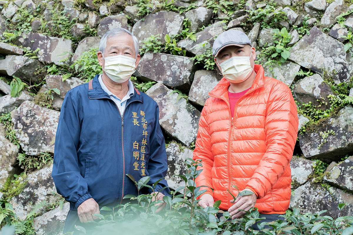 坪林漁光里長白明堂(左一)與其子白錦祥(右一)，秉持環境永續使命，帶頭轉型植茶模式改以有機農法。 圖：新北市民政局提供