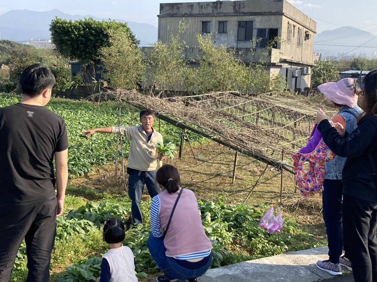 蕃婆林休閒農場-拔蘿蔔體驗解說。 圖：新北市農業局提供