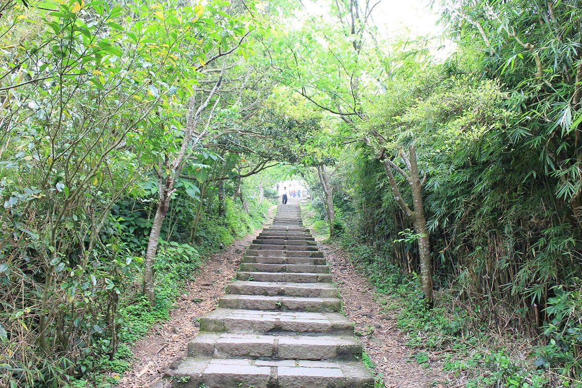 燃脂出遊，五股、八里區的硬漢嶺登山步道絕對必選。 圖：新北市政府提供
