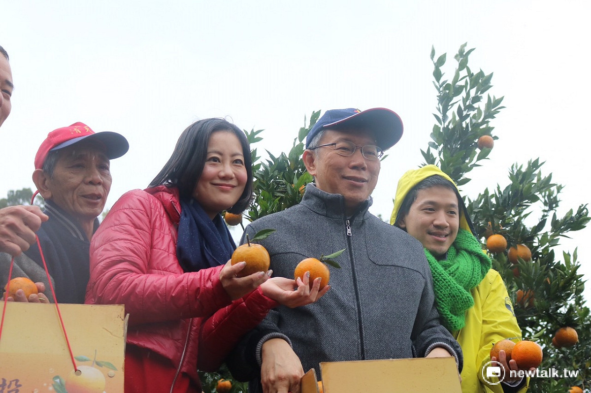 台北市長柯文哲20日上午前往北投清天宮體驗採柑橘活動。 圖：劉奕霆/攝