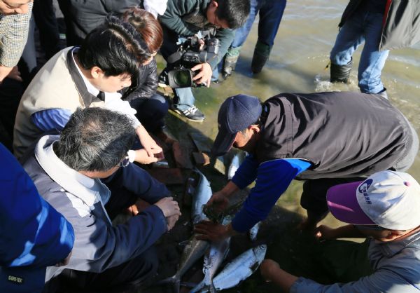 台南漁業受到上一波寒流影響，農損已近12億元。 圖：台南市政府提供