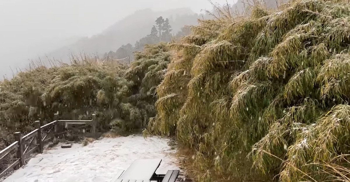 雪霸國家公園降雪。 圖：保育志工吳峻德／提供
