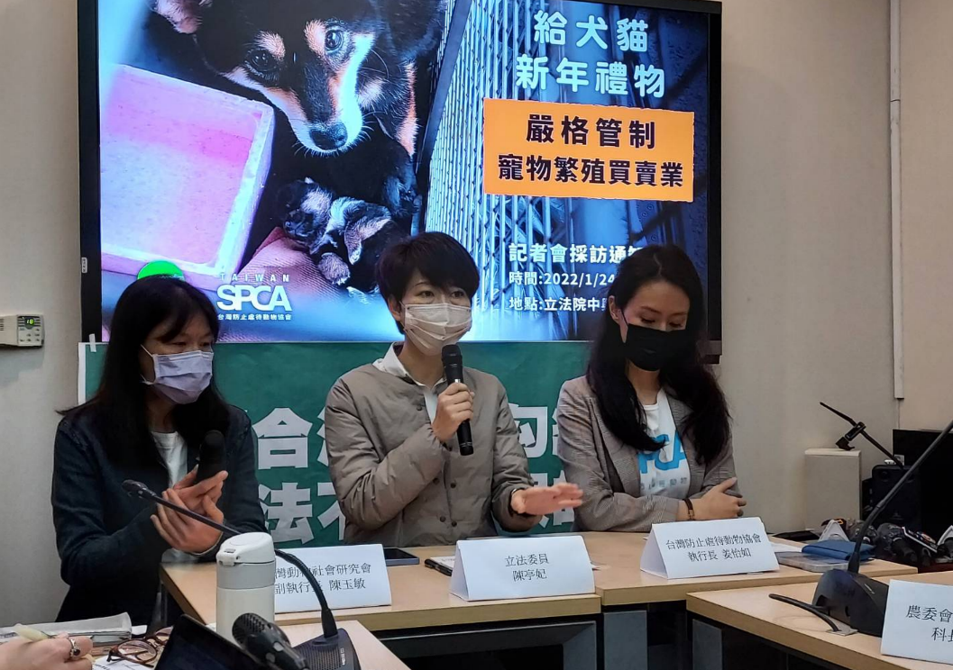 非法繁殖買賣情事頻傳，動保團體呼籲盡速通過《陽光法案》。 圖:陳佩君/攝