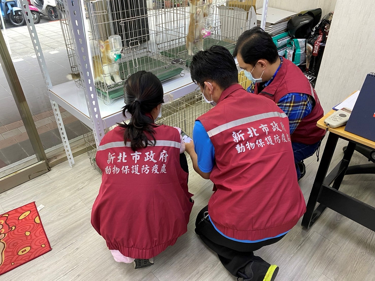 現場犬隻一一查驗身分來源。 圖：新北市動保處提供