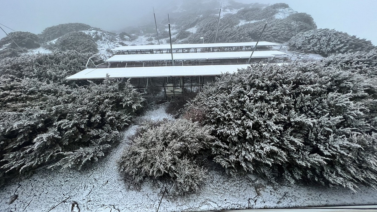 玉山今日上午降雪近2小時。 圖：中央氣象局／提供