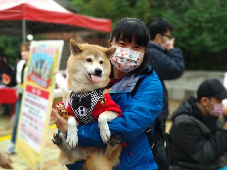 幫犬貓穿上衣服首先要看狗是長毛或短毛，只有出現感冒症狀、心血管疾病或小型 犬貓出門早晚溫差大時，才需要穿衣服。 圖：新北市動保處提供