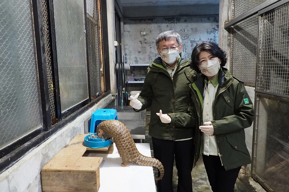 台北市長柯文哲及太太陳佩琪一起幫即將遠赴布拉格的穿山甲製作年夜飯。 圖：台北市政府 / 提供
