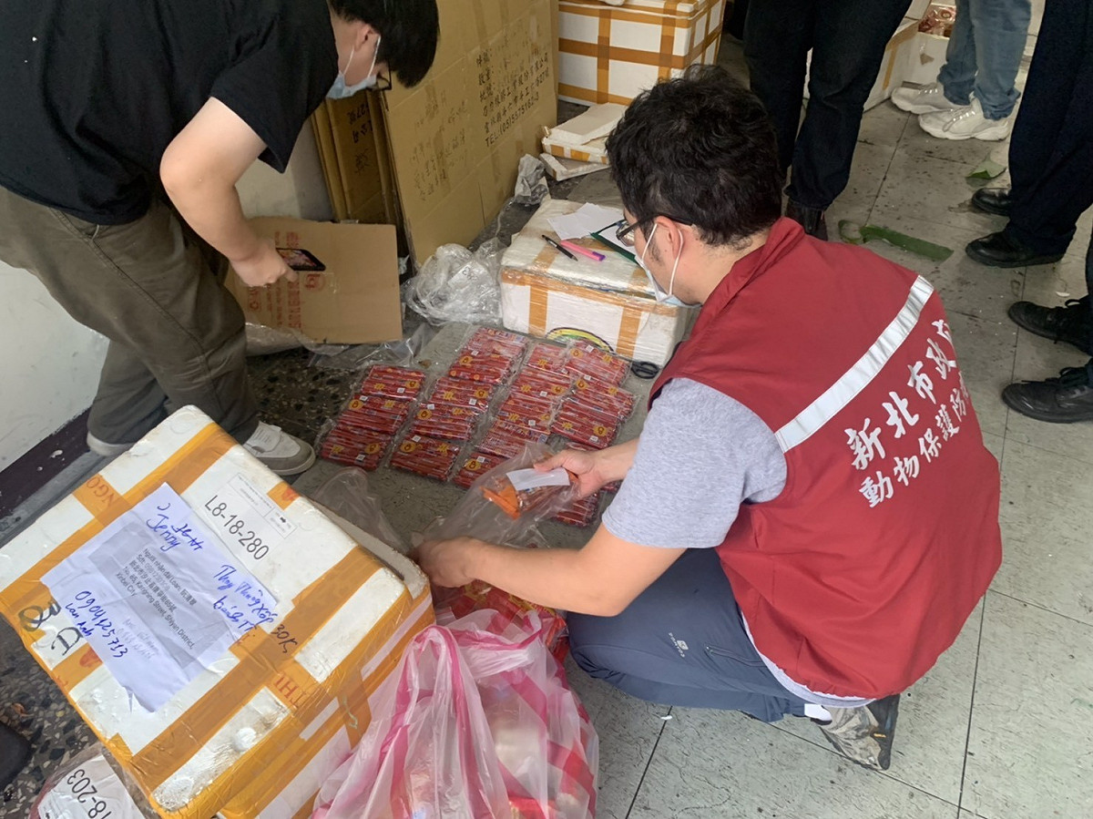 聯合稽查小組於去年在市面店家大規模查核。 圖：新北市動保處提供