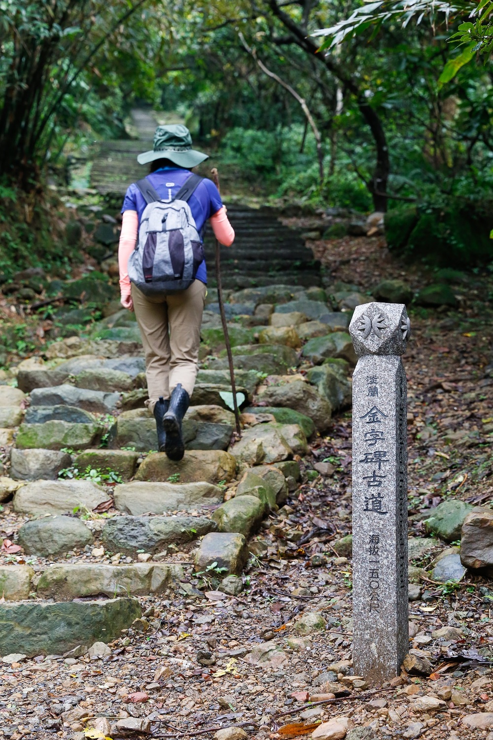 金字碑古道鬱鬱蔥蔥飽含芬多精。 圖：新北市觀旅局提供