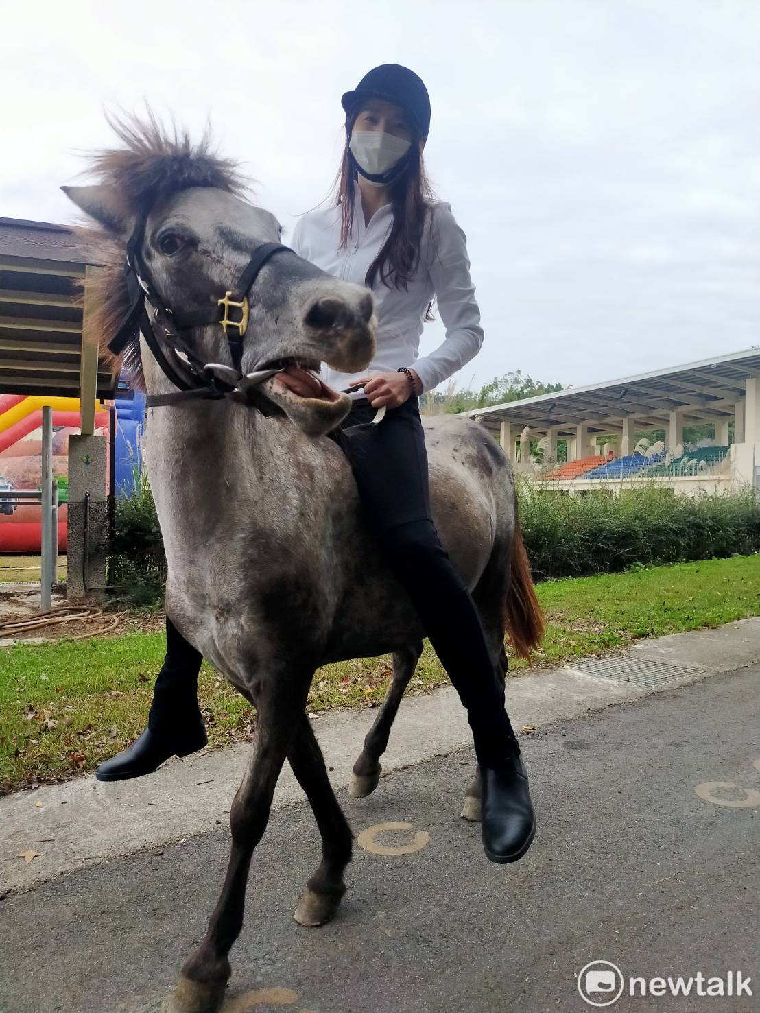 在后里馬場園區有機會巧遇漂亮女騎士騎著迷你馬，可以拍照合影。  唐復年/攝