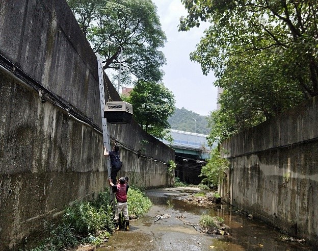動保員救援受困沙洲的鴨子，協力將鴨子帶回岸上脫困。 圖：新北市動保處提供