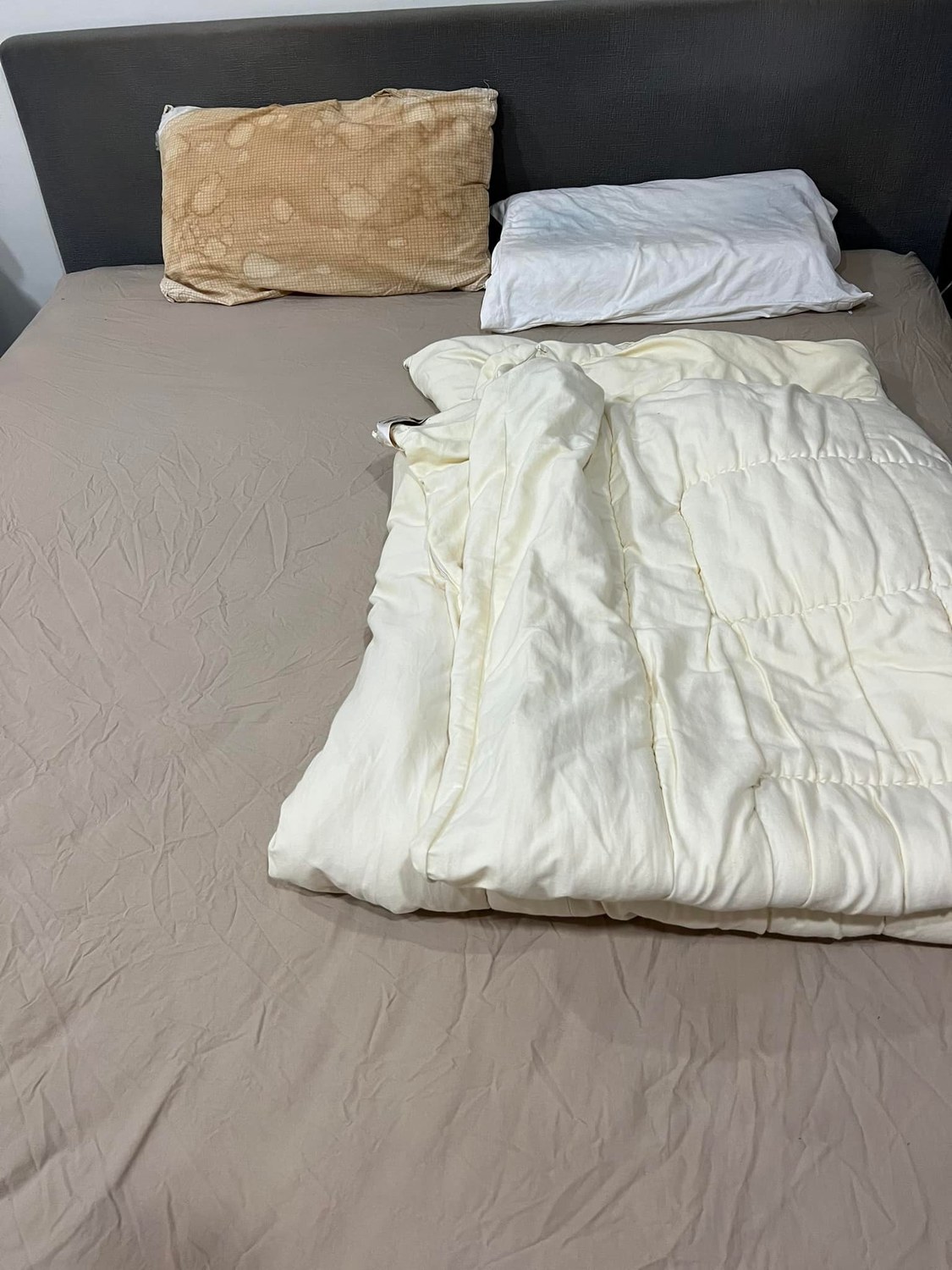 高嘉瑜也終於動手整理環境，今日在臉書貼出床照，畫面中可看到床面相當乾淨。 圖：翻攝高嘉瑜臉書