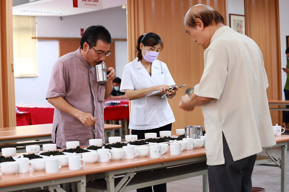 過往有機茶評鑑狀況。 圖：新北市農業局提供