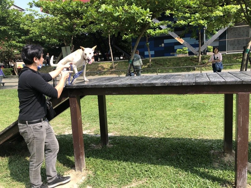 土城寵物公園設有毛寶貝訓練跨欄、波浪棧道、寵物爬高低坡障礙物設施。 圖：新北市動保處提供