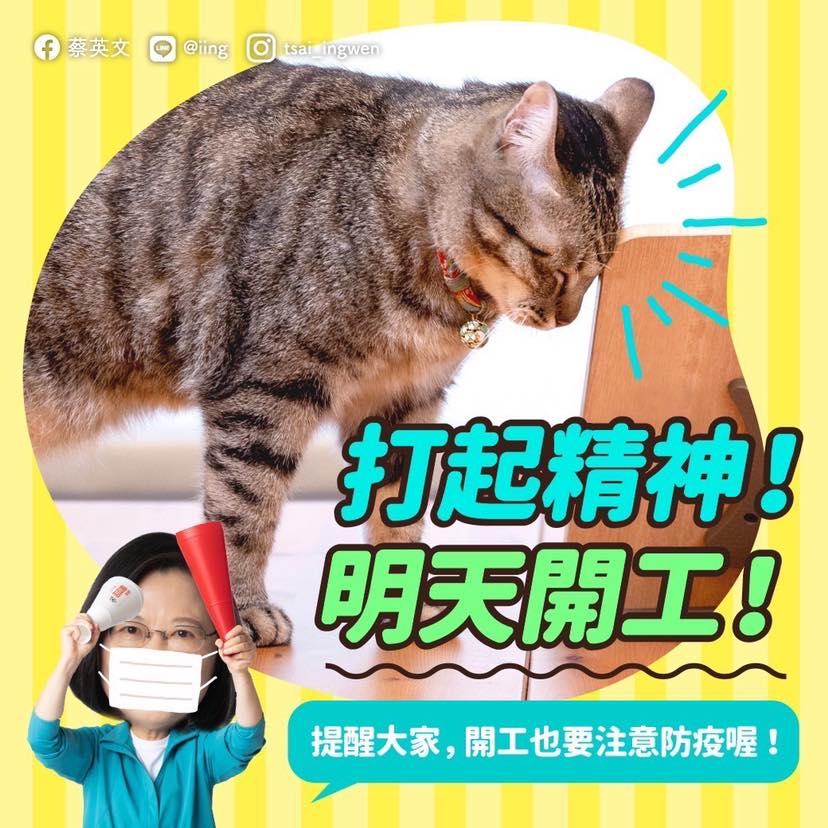 總統蔡英文在臉書曬出愛貓，提醒大家明天就是開工日，記得設鬧鐘。 圖：擷取自蔡英文臉書