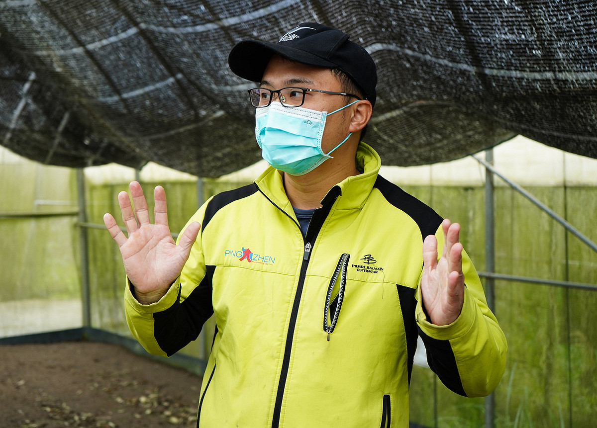 畦遊季有機農場陳坤峰介紹農場畜養工作雞的方式。 圖：林口區公所提供