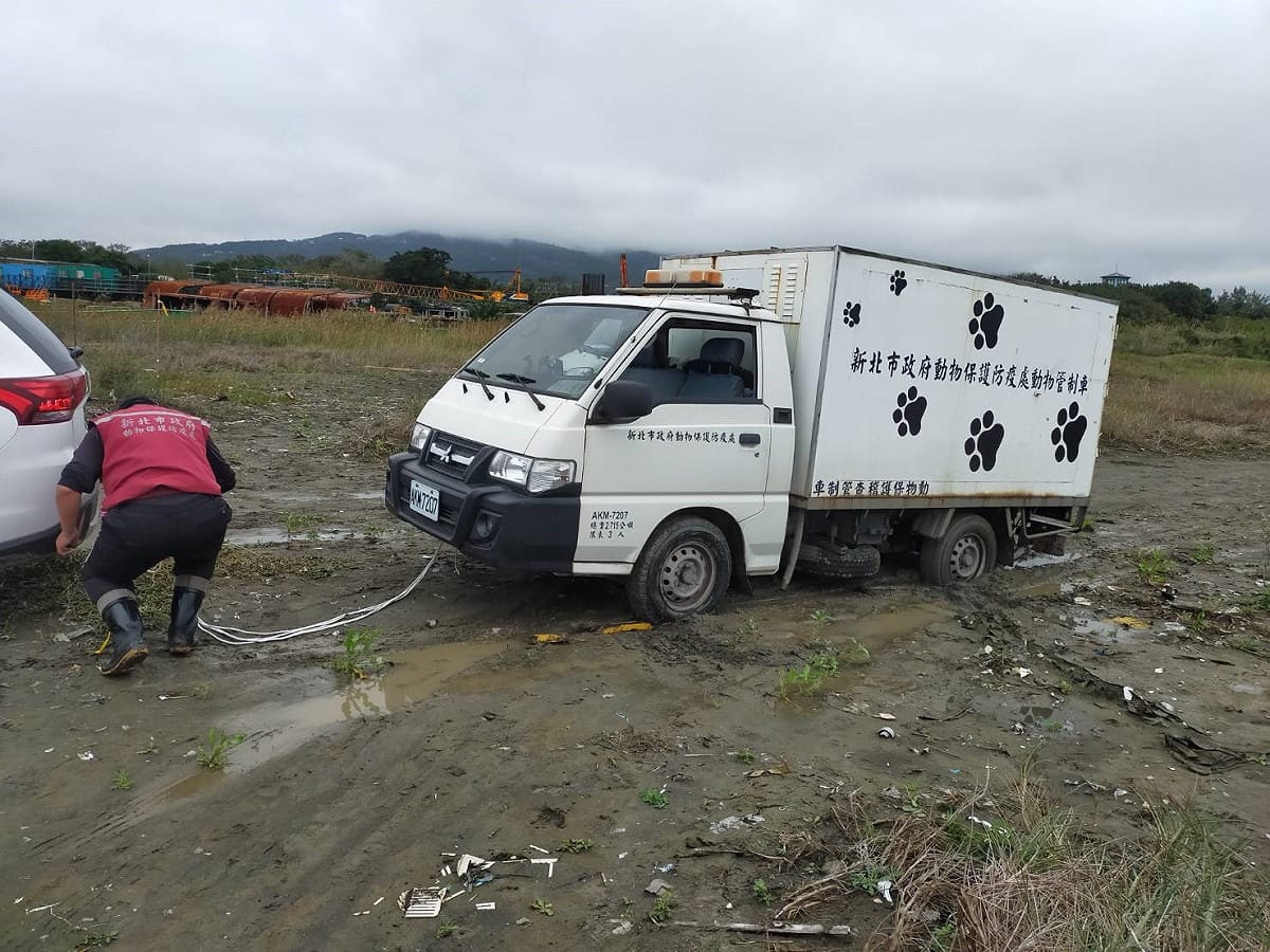 動保處管制車前往載運3隻糙齒海豚天雨路滑陷入泥濘沙灘中。 圖：新北市動保處提供
