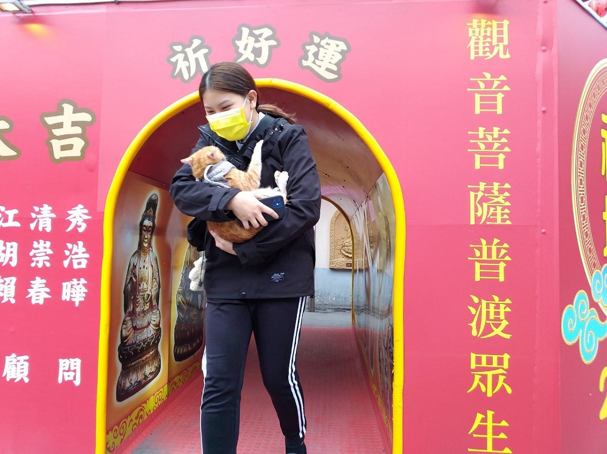 民眾和毛寶貝一起鑽平安橋，祈求新的一年飼主及寵物都平安好運。 圖：新北市動保處提供