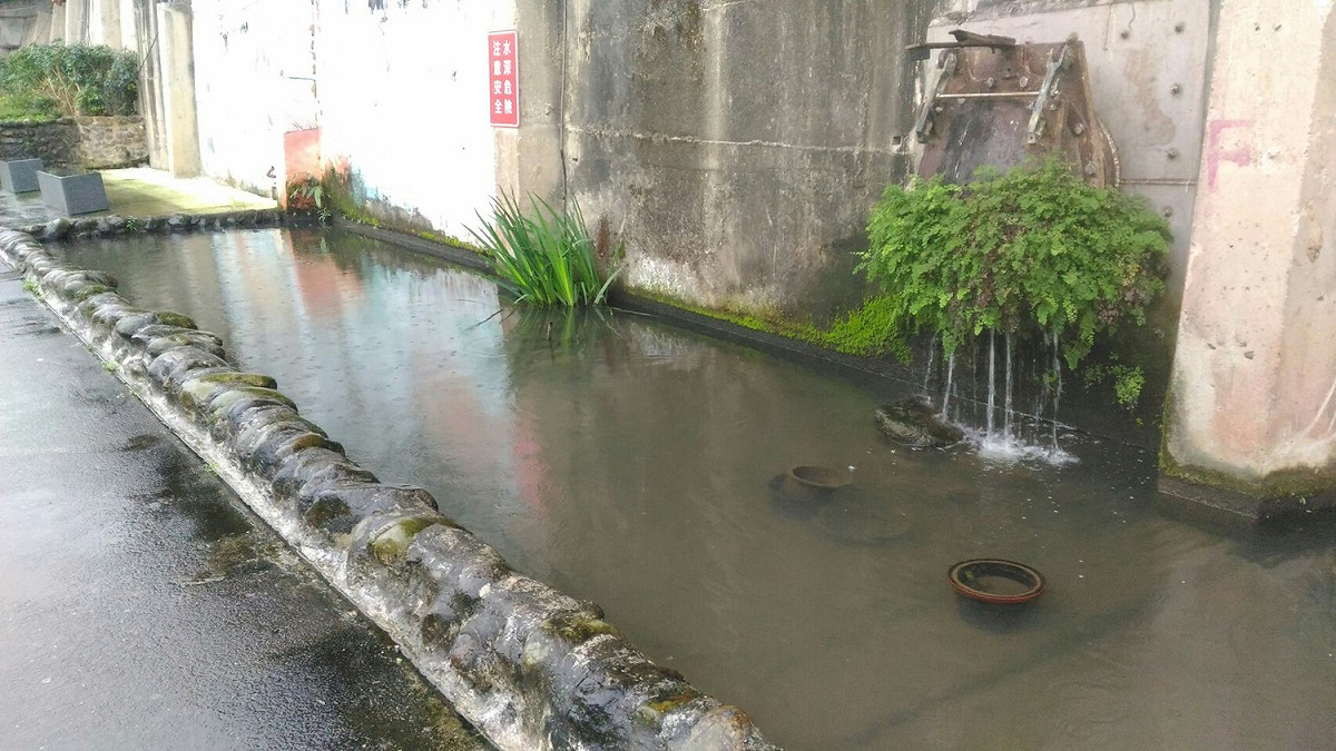 學校內若設有水塘生態池者，周圍環境宜力求簡單，避免提供蛇類窩藏空間。 圖：新北市動保處提供