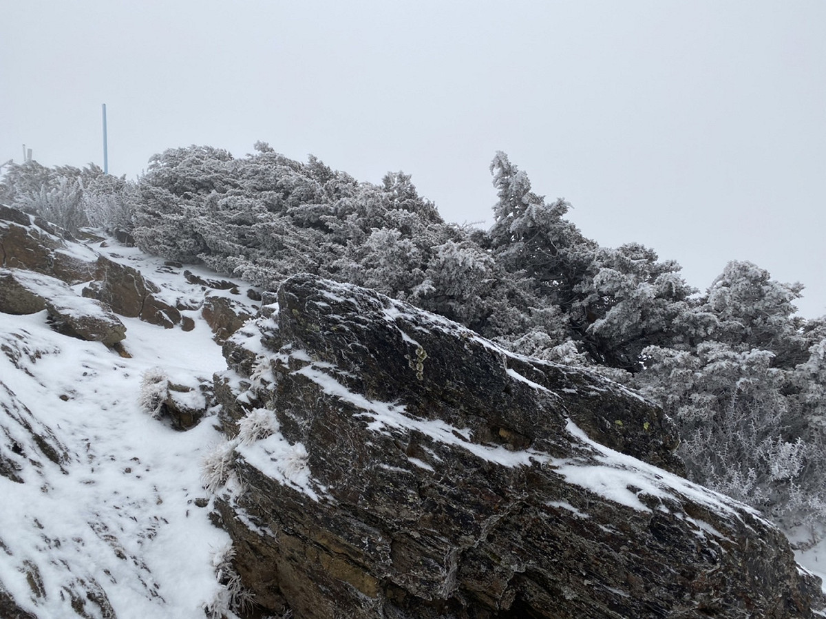 玉山自昨日下午開始降雪至今日清晨，整座山頭披上皚皚白雪。 圖：中央氣象局／提供