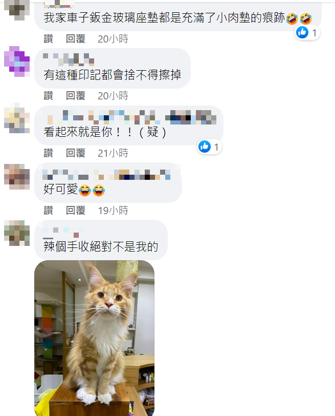 兇手一出引起網友討論。 圖：翻攝自吳慷仁臉書