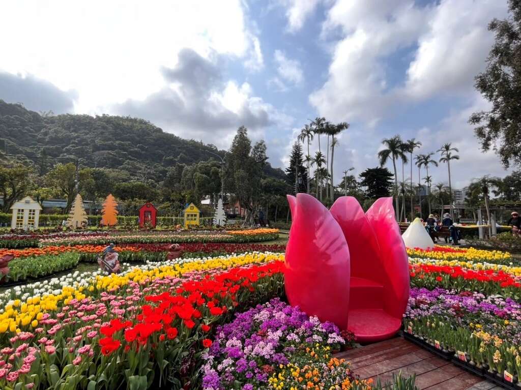 大家可以扮演拇指姑娘悠遊在浪漫的金香花海中。 圖：台北市政府／提供